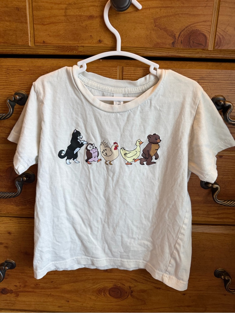 Little bear & friends shirt size 4T